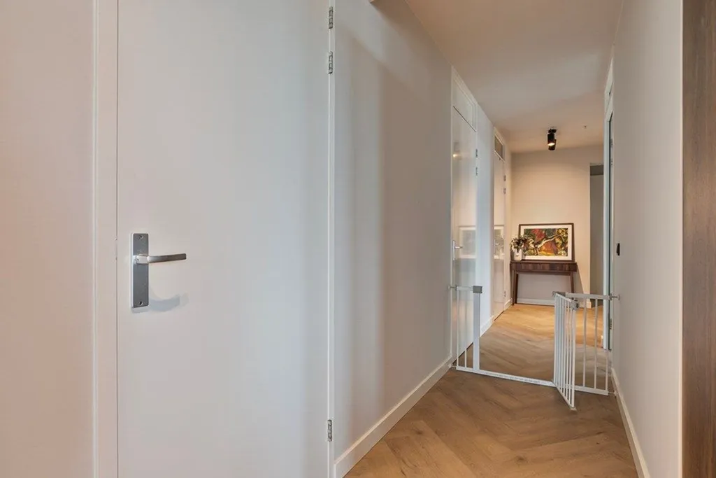 Entrée - Furnished Flat with City Views in The Hague