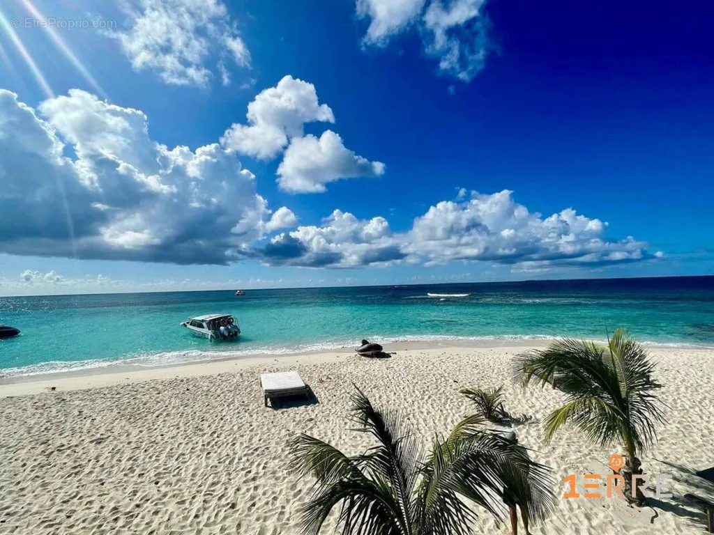 Toad - 220 Hectare Land with Bird Sanctuary in Anguilla