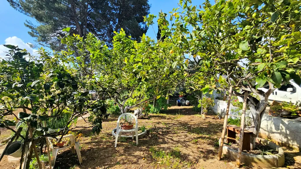 Jardin - Villa with Olive Grove near Carovigno