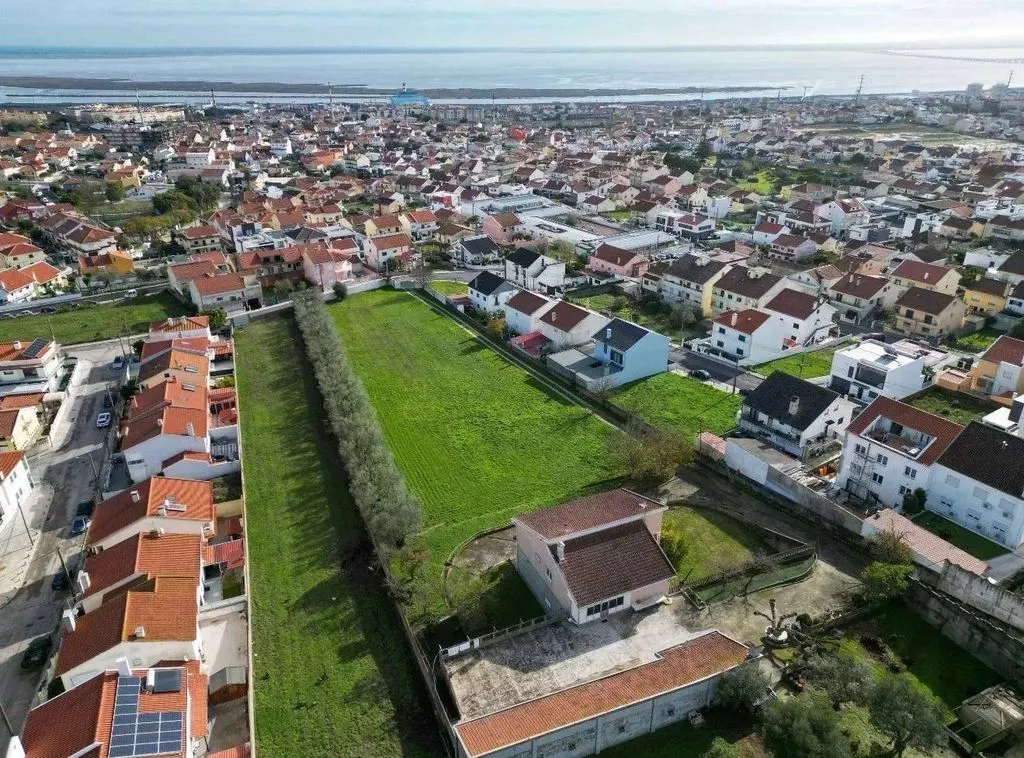 Vue aérienne - Building Land with Olive Trees near Lisbon
