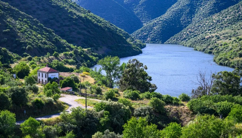 Vineyard with Riverfront in Douro Superior