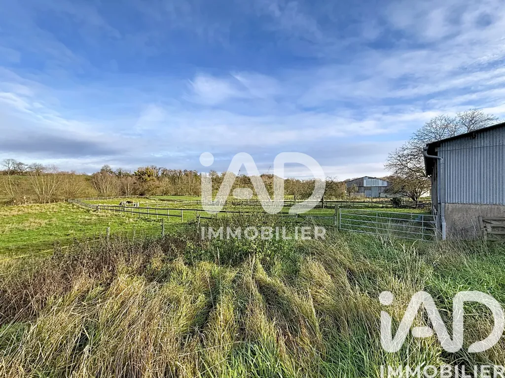 Giardino - Equestrian Domain with House in Nubécourt