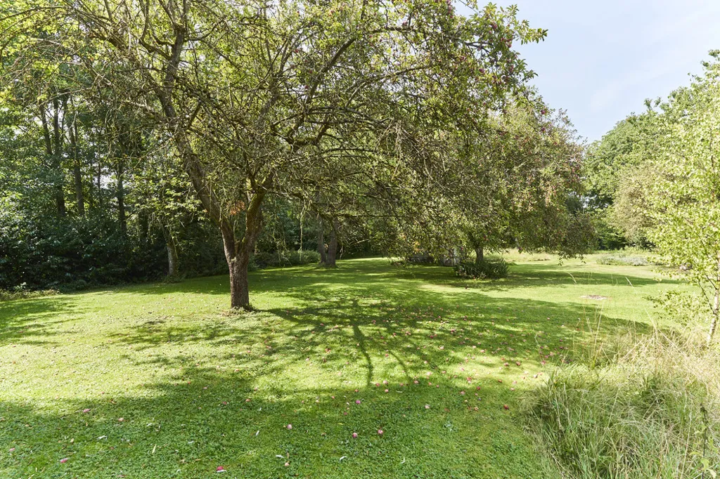 Jardin - Maison Ancienne avec Jardin à Biwer