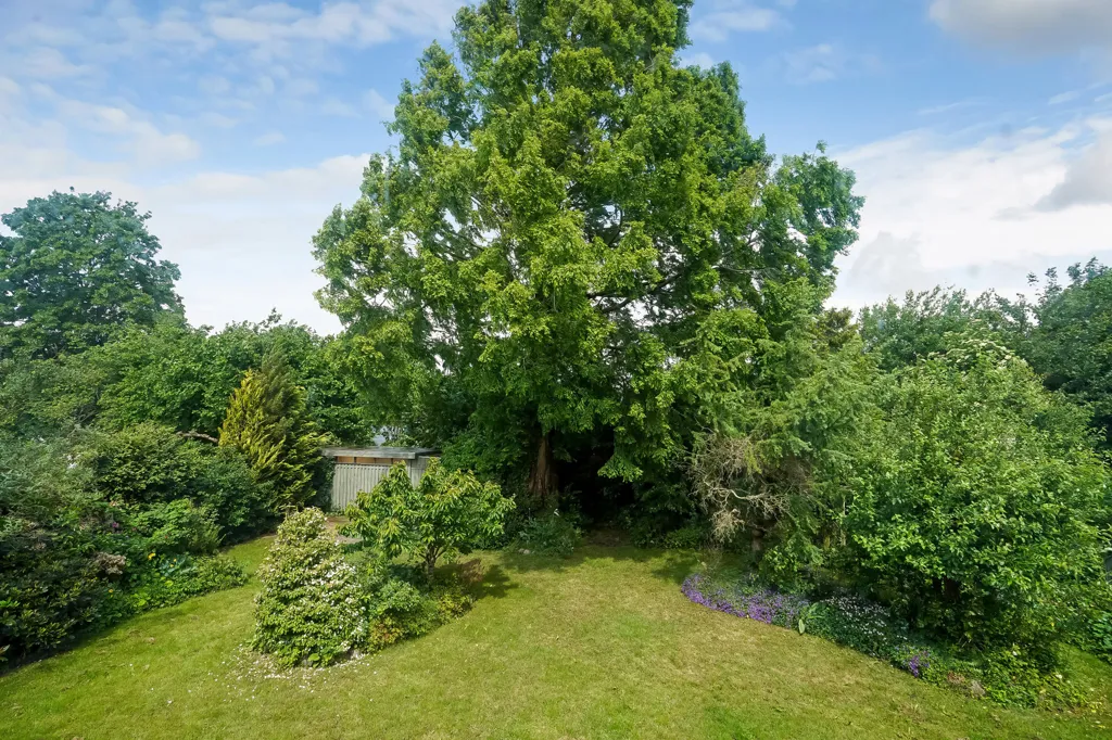 garden