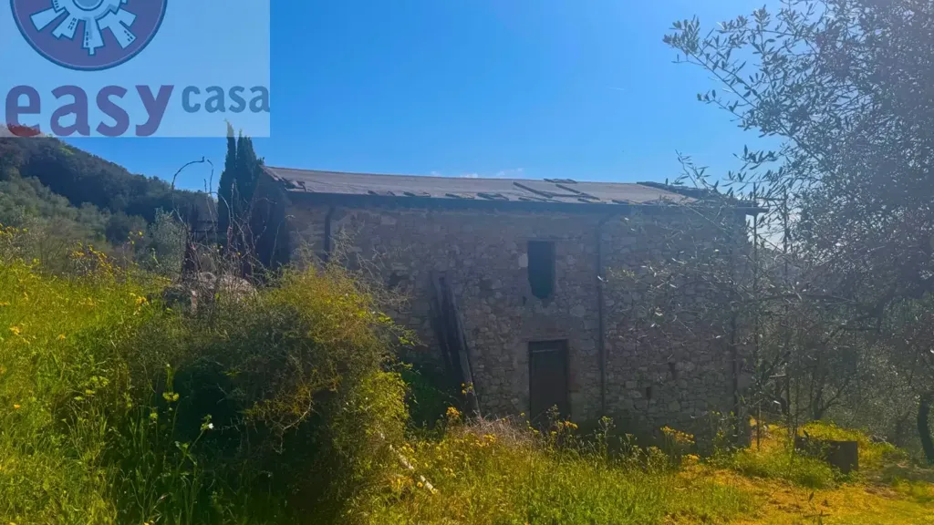 Extérieur - Rustic Property with Olive Grove in Lucca