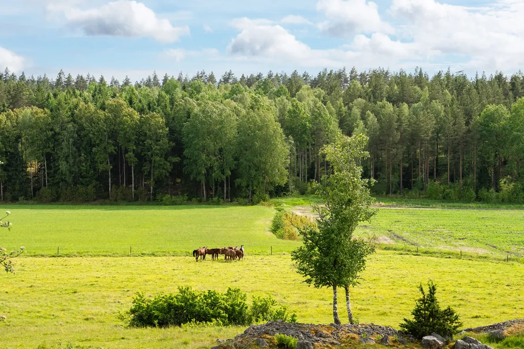 Aed - Modern Farmhouse with Pool near Norrköping