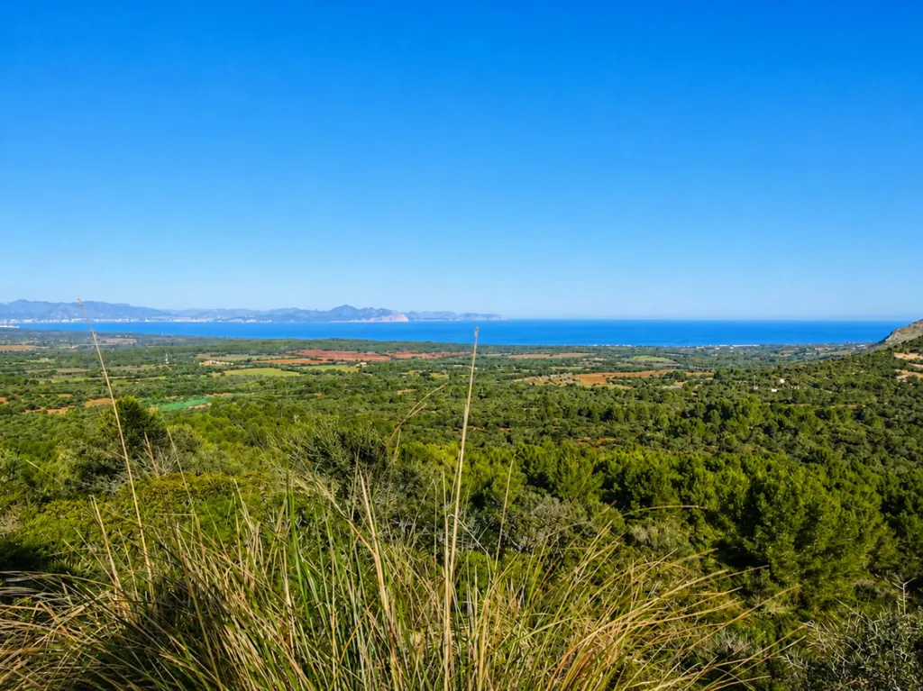Large Estate with Agrotourism Project in Artà