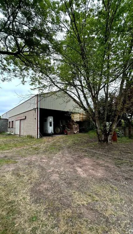 Extérieur - Propriété Équestre avec Hangar à 15 min d'Angers