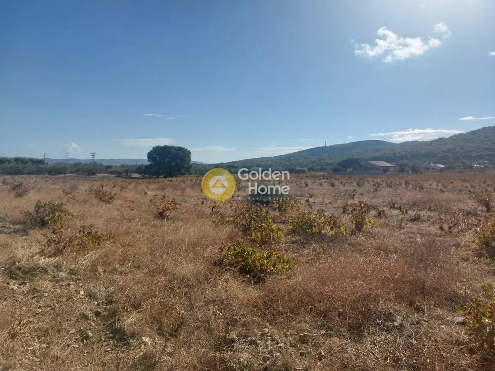 Garden - Flatland Plot with Forest View in Thoricó