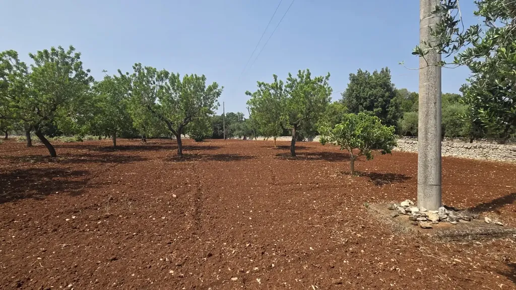 Garden - Trullo Complex for Renovation in Ostuni