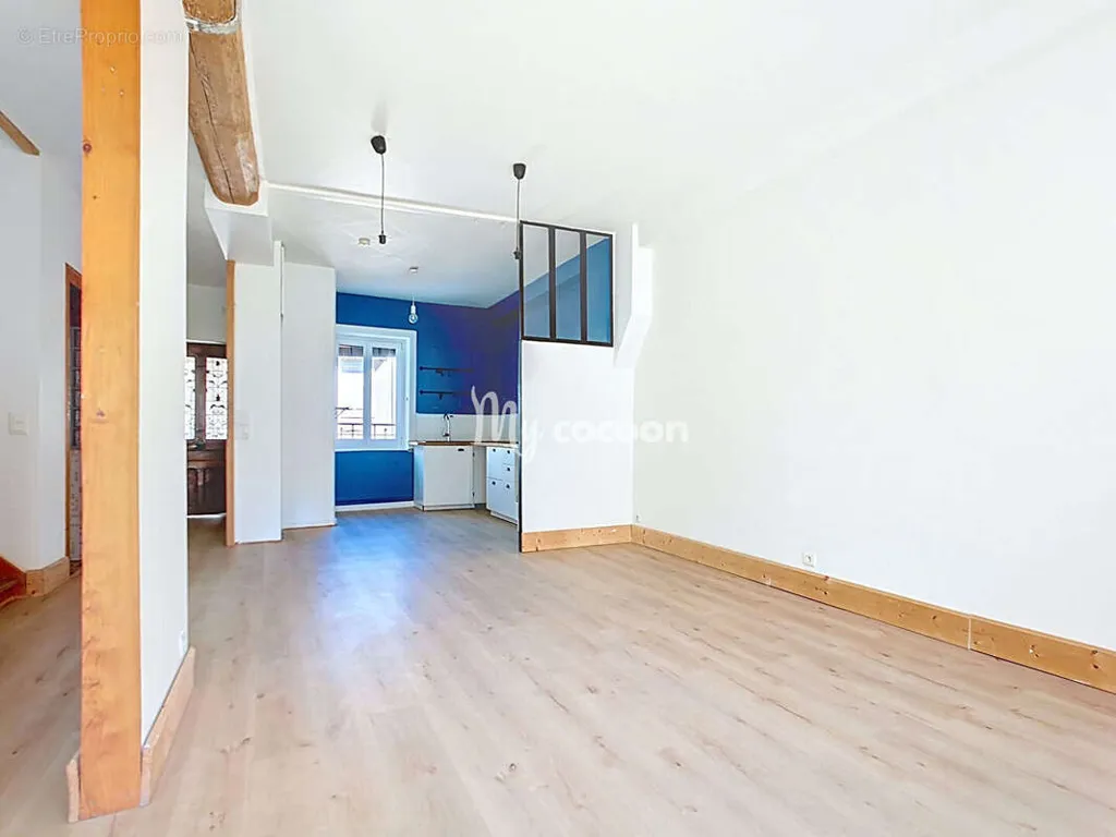 Séjour - Appartement Duplex Rénové Place Saint Louis