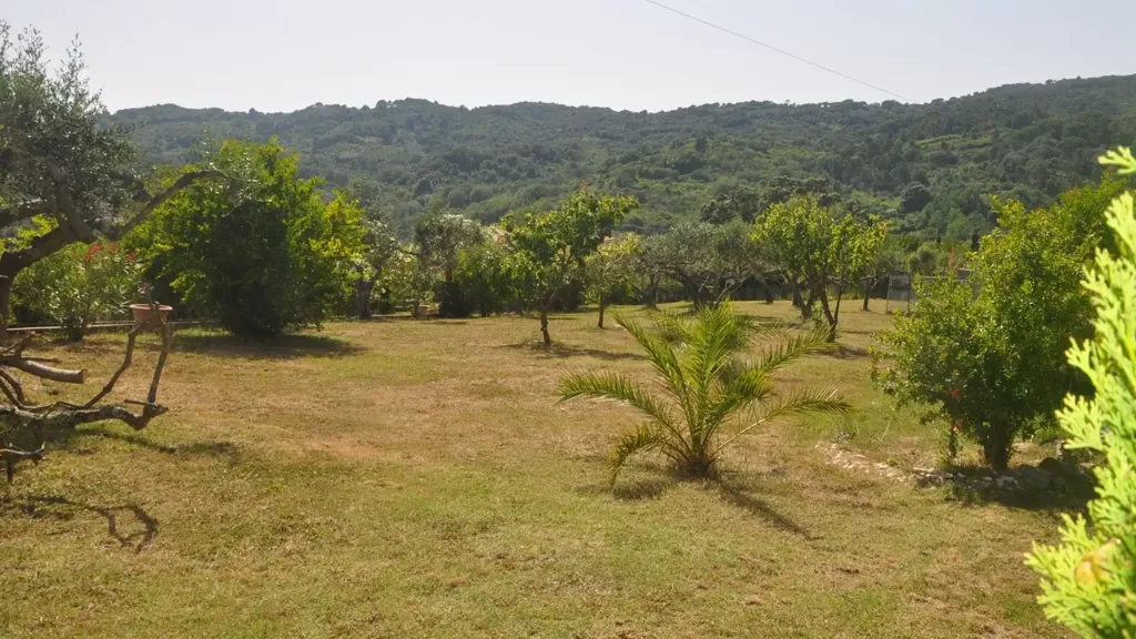 Jardin - Villa with 360° View in Rosignano Marittimo