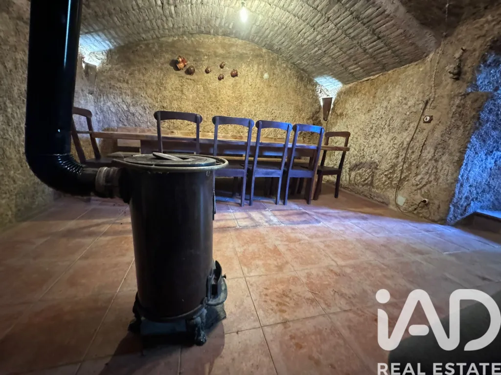 Pièces - Authentic Bodega in Villagallegos, Valdevimbre