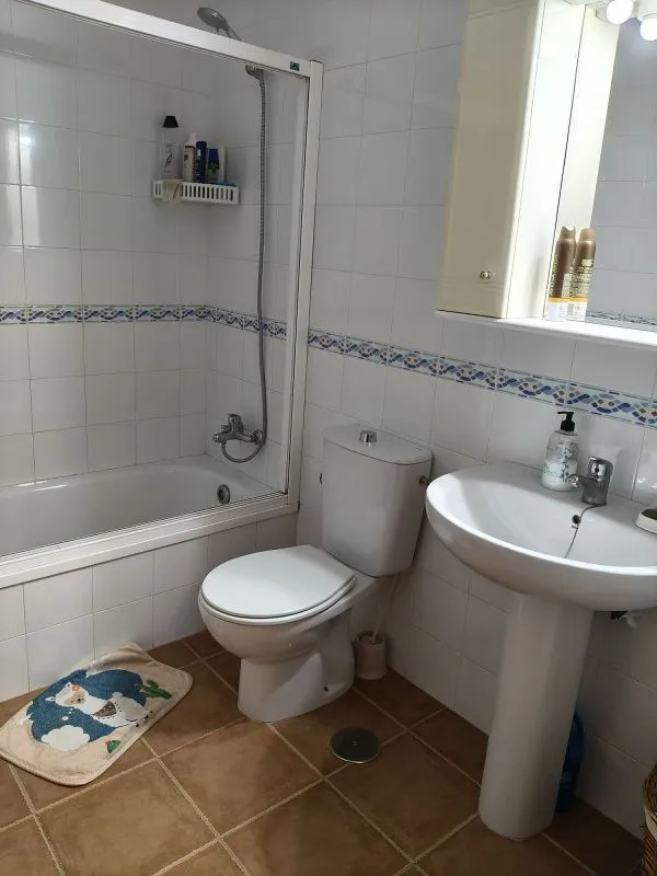 Salles de bain - Apartment with Pool and Terrace in La Laguna