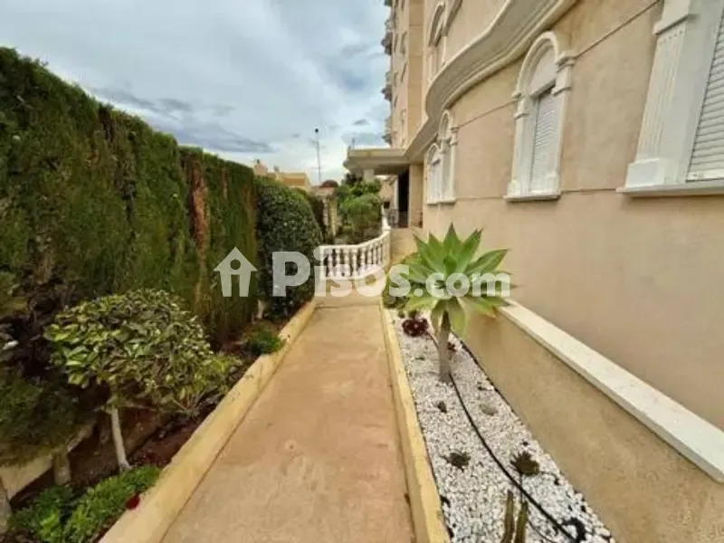 Garden - 2-Bed Apartment with Terrace in Torrevieja