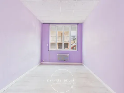 Toad - Spacious 3-Bedroom Apartment in Chasse-sur-Rhône