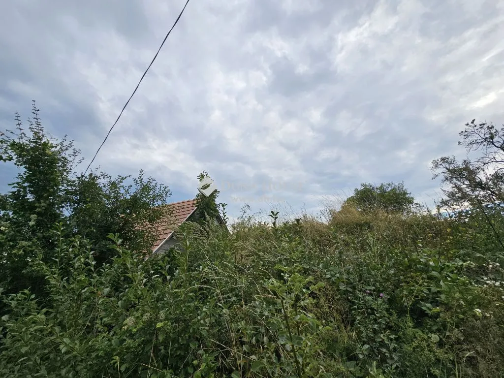 Giardino - Panoramic Cellar with Vineyard in Köveskál