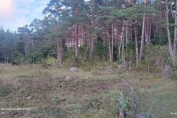 Aed - Maa asukohas Hiiumaa vald
