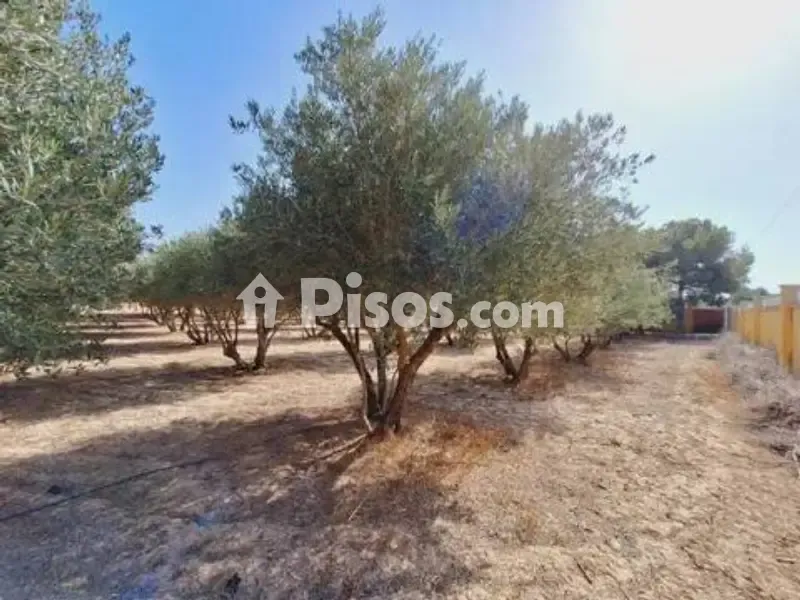 Jardin - Chalet with Pool in Villafranqueza