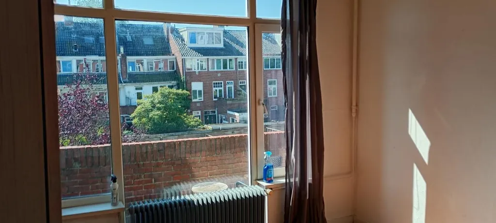 Toad - Student Room with Balcony near CS Groningen