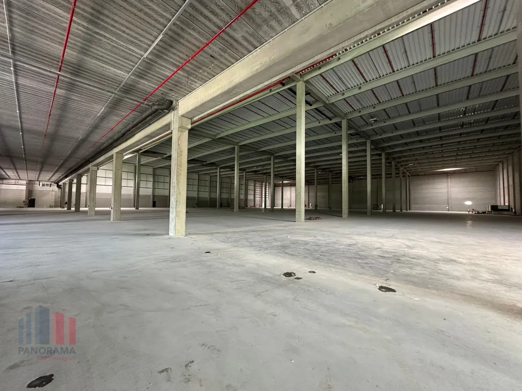 Toad - High-End Logistics Site near Péruwelz