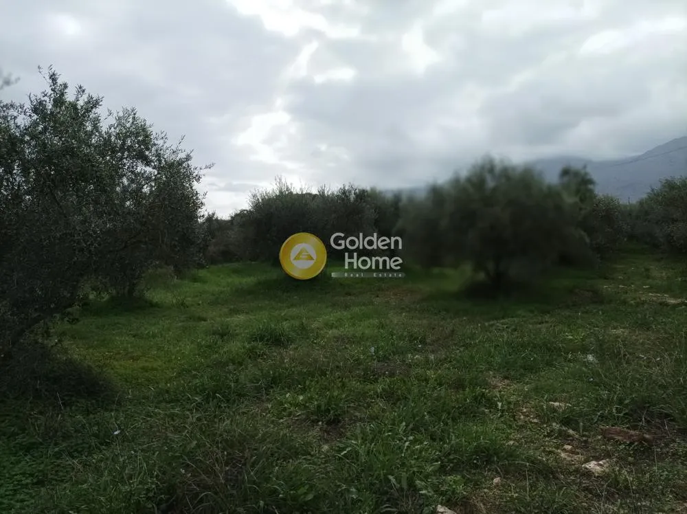 Aed - Buildable Plot with Sea View in Aprovouna, Chania