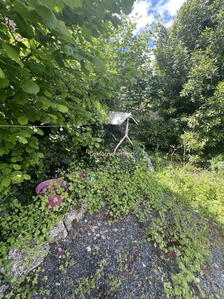 Jardin - Immeuble avec 3 Maisons et Jardins à Mehun-Sur-Yevre