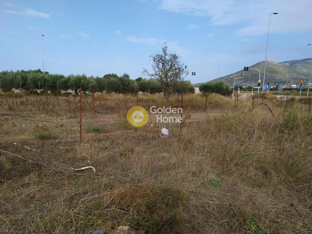 Aed - Plot with Unrestricted View in Kalivia Centre