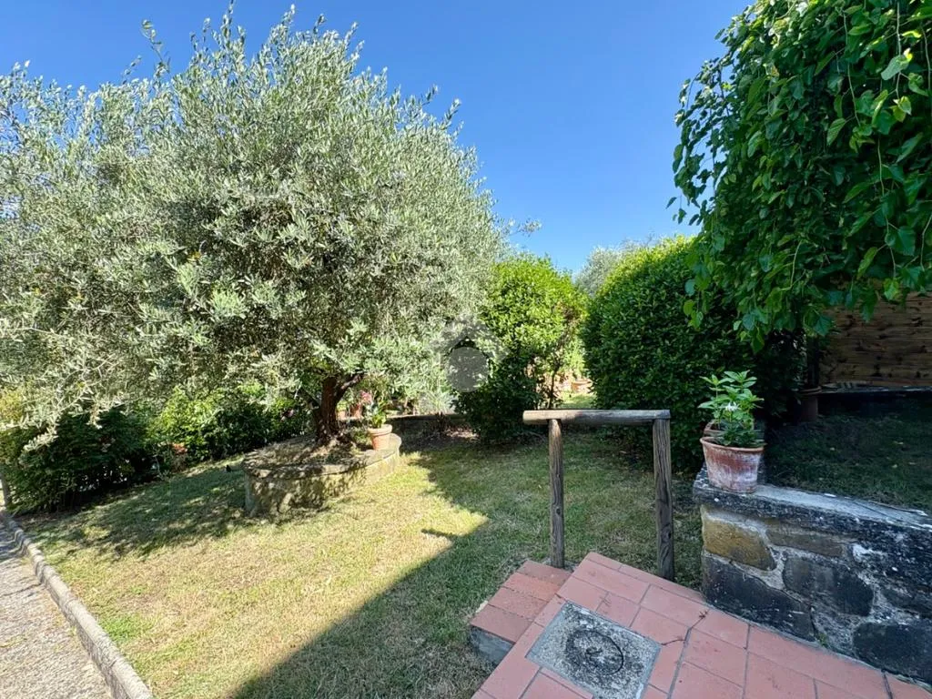 Aed - Terraced Villa with Garden in Pelago