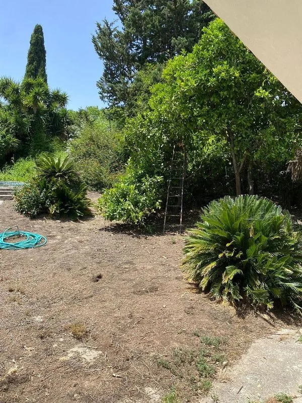 Jardin - Chalet with Pool and Terrace in Jerez Centre