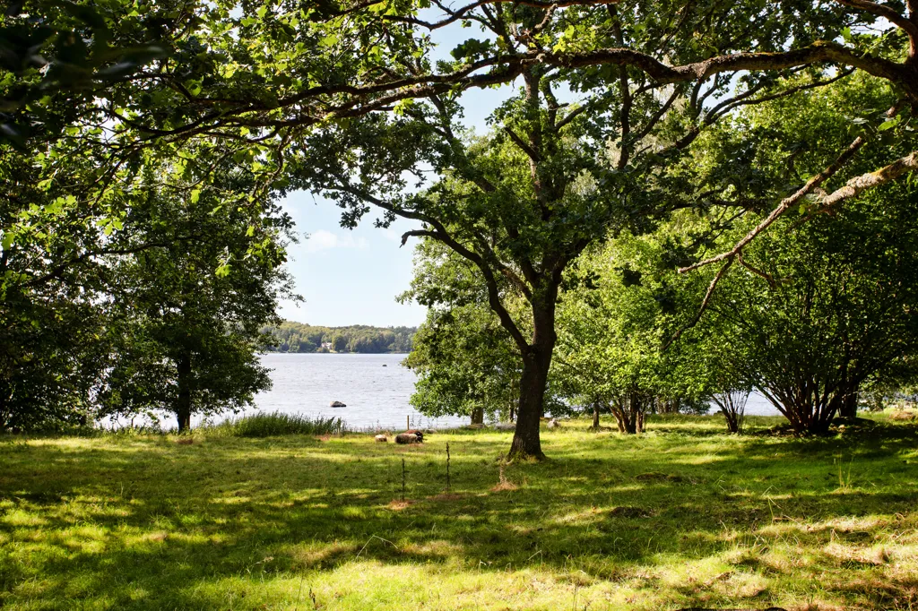 Giardino - Freehold Plot with Lake View in Skåne