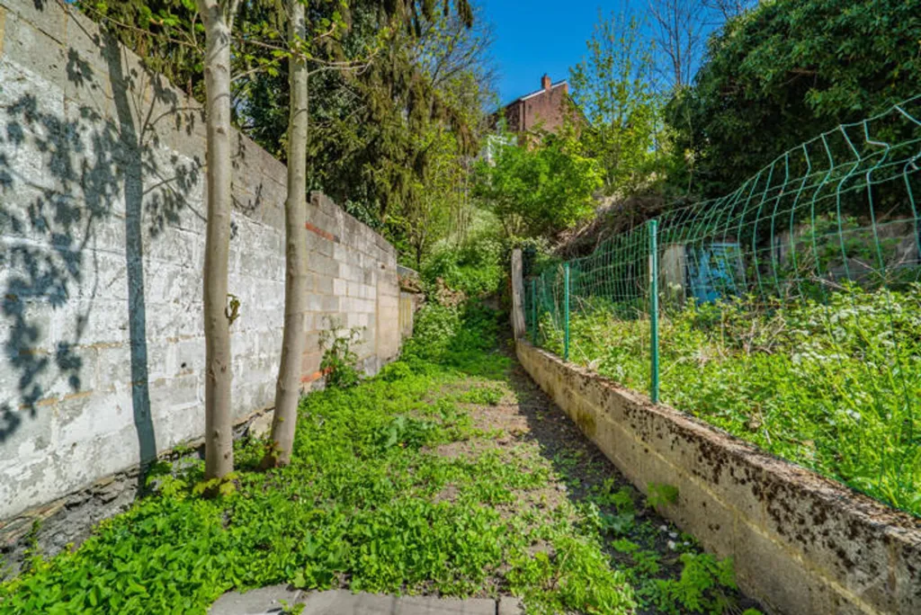 Jardin - Maison avec Jardin et Terrasse dans le Nord