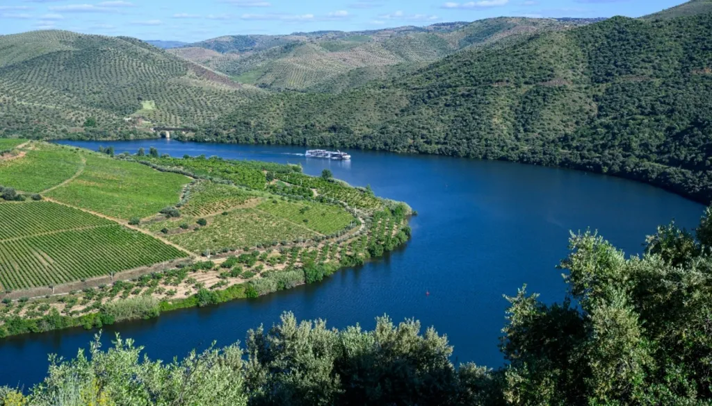 Vineyard with Riverfront in Douro Superior
