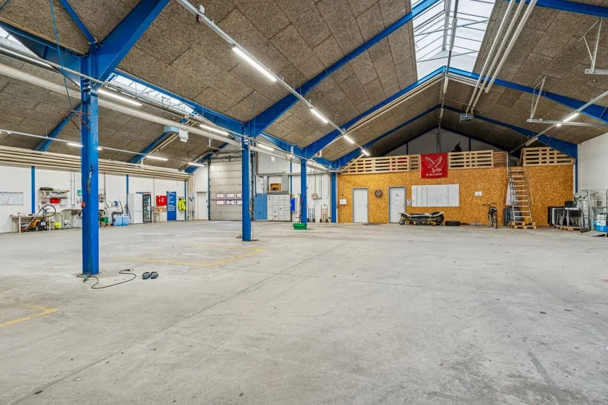 Toad - Office and Warehouse near Vejle Centre