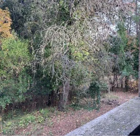 Rustic Villa with Large Garden in Offagna