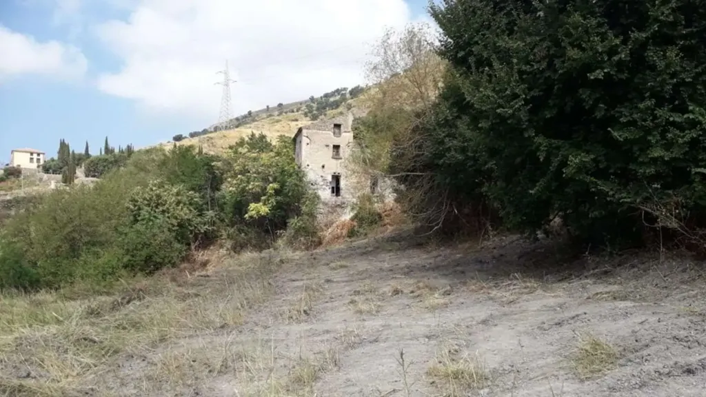 Jardin - Rustic Sea View Property in Cetraro