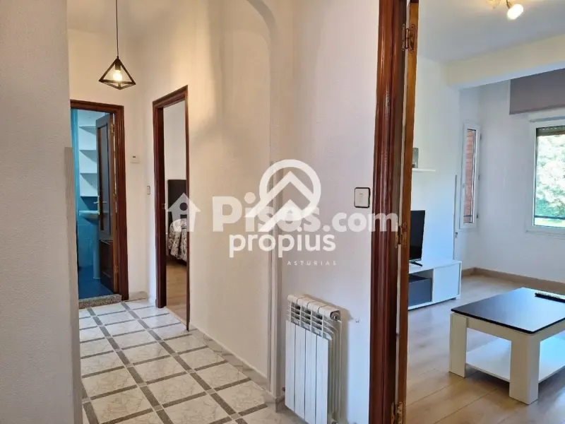 Entrée - Reformed 2-Bed Flat with Terrace in Cangas de Onís