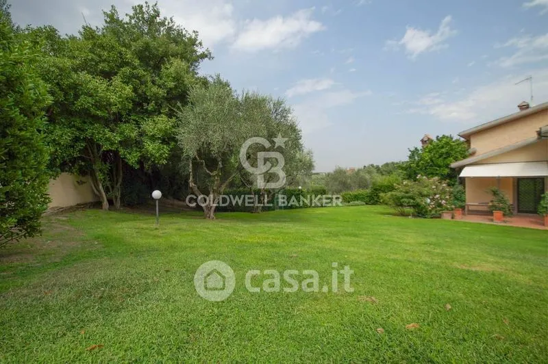 Aed - Villa with Infinity Pool in Viterbo