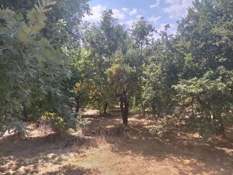 Aed - Buildable Plot with Immediate Planning in Margès