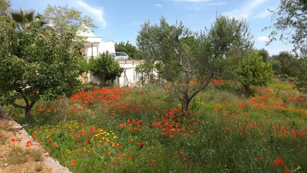 Garden - Typical Trulli House in Ostuni
