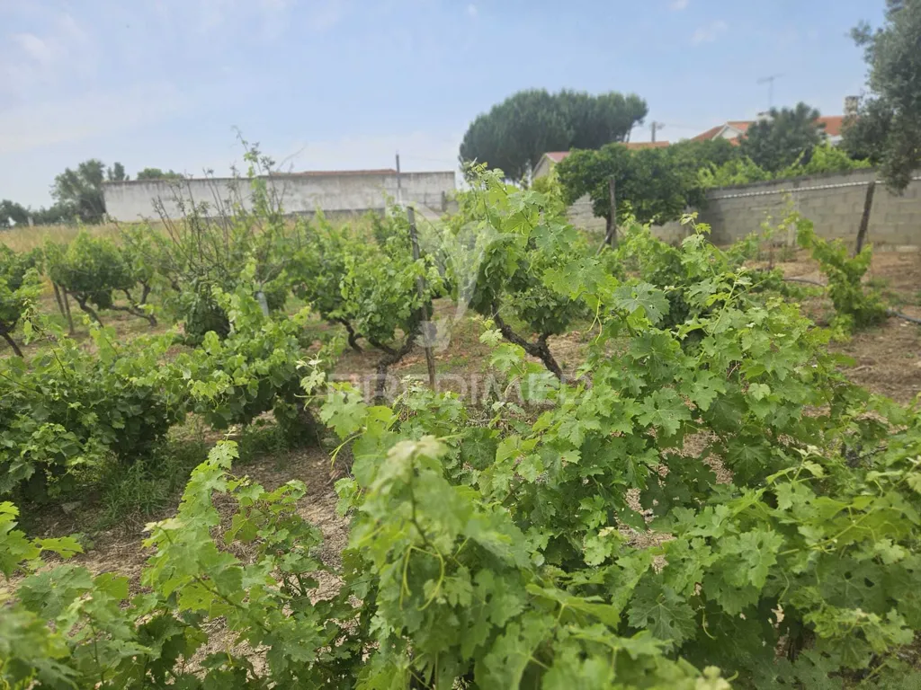 Giardino - Urban Plot with Construction Potential in Valdonas