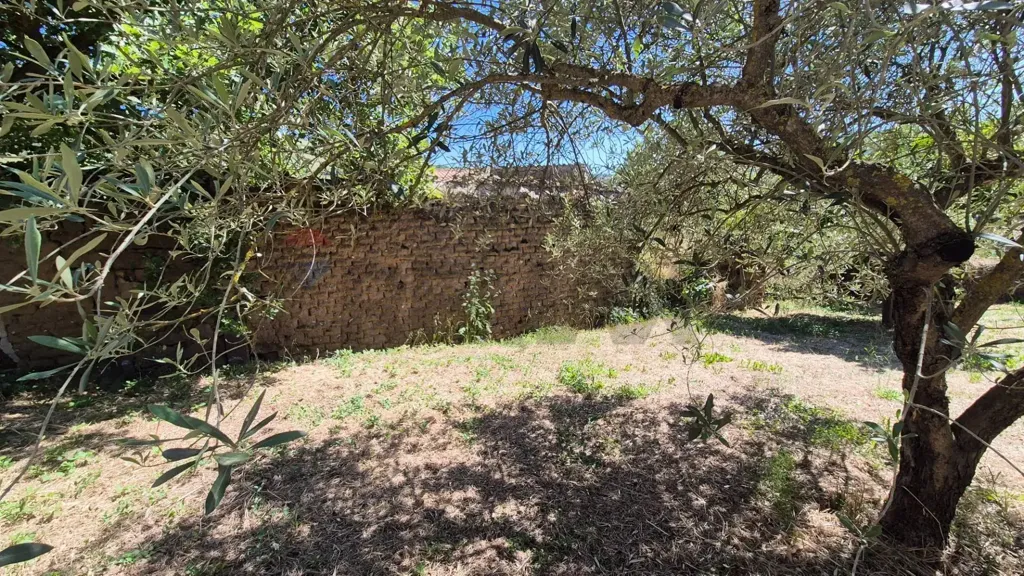 Aed - Rustic House with Olive Grove in Allai
