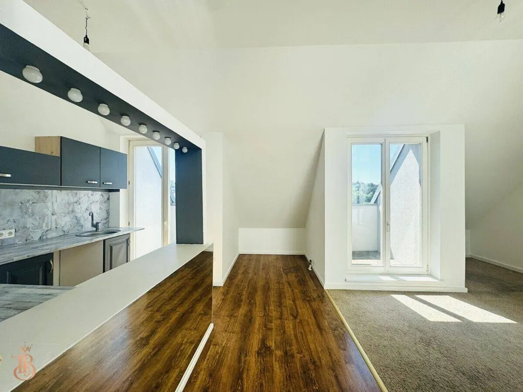 Toad - Modern Apartments with Central Location in Stegersbach