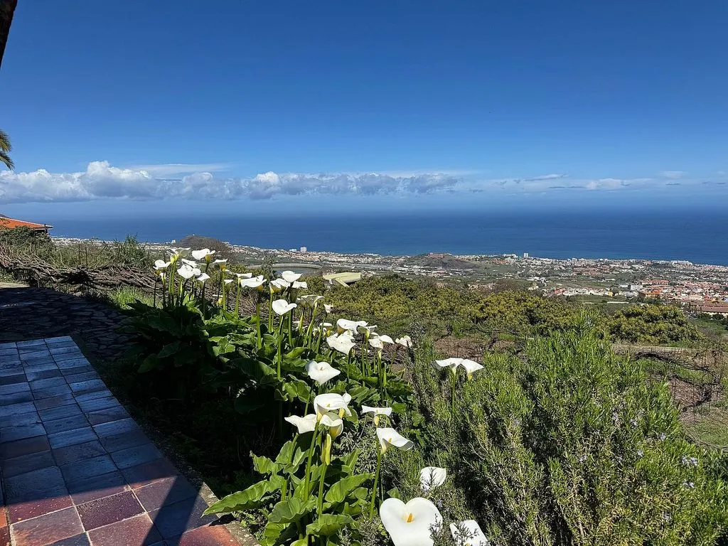 Terrass - Rustic Finca with Garden in Orotava Valley