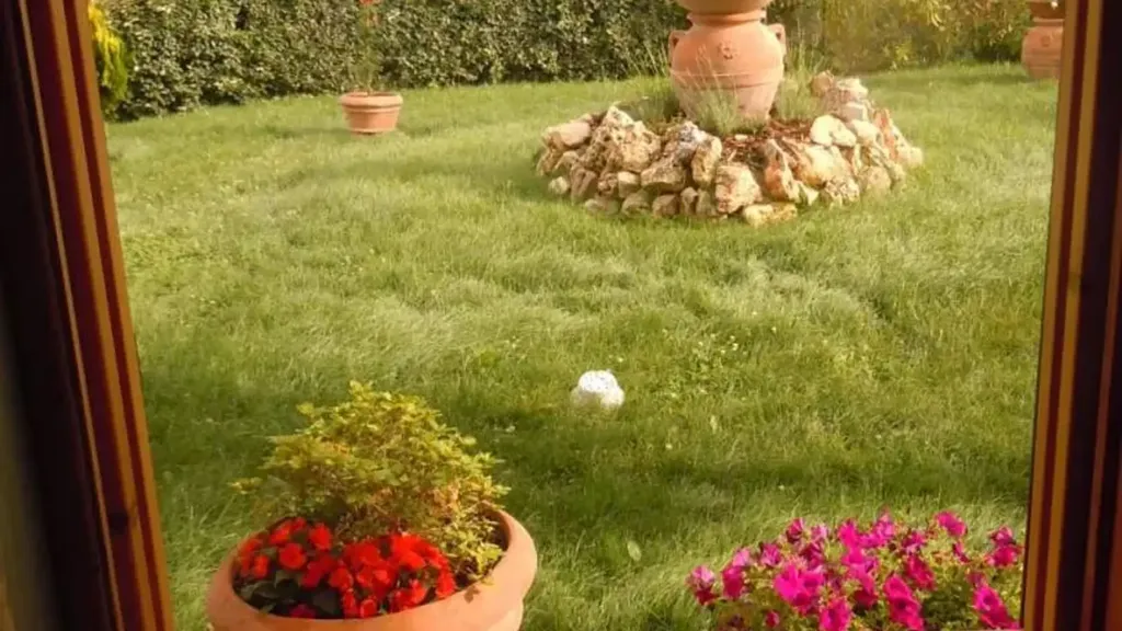 Jardin - Modern Villa with Panoramic View in Montespertoli