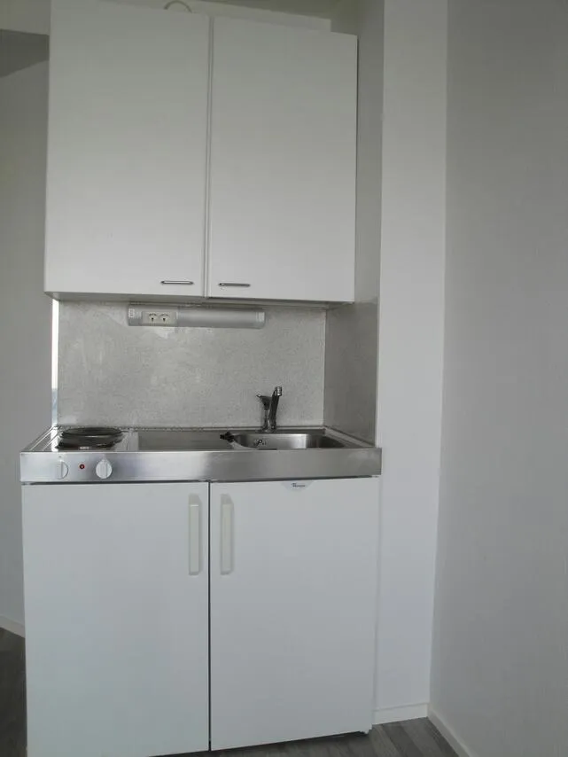 Cuisine - Furnished Studio Apartment in Lahti Centre