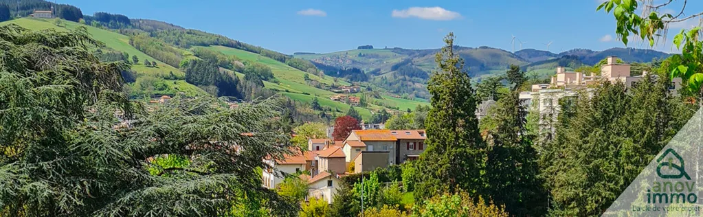 Spacious House with Garden in Tarare