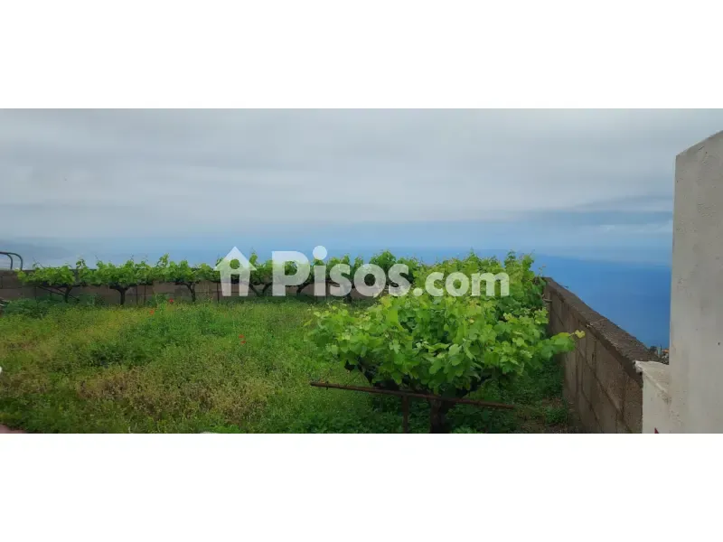 Aed - Rustic Farmhouse with Bodega near Calle Real