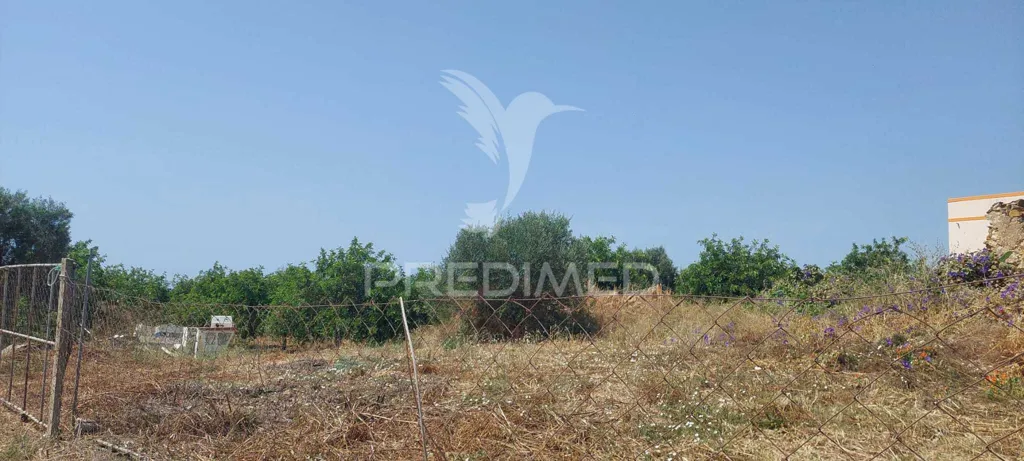 Jardin - Ruin with Garden near Ria Formosa