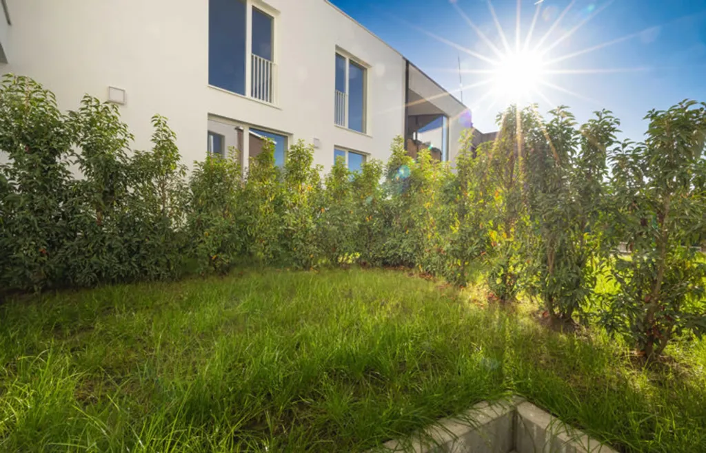 Apartment in Berchem-Sainte-Agathe